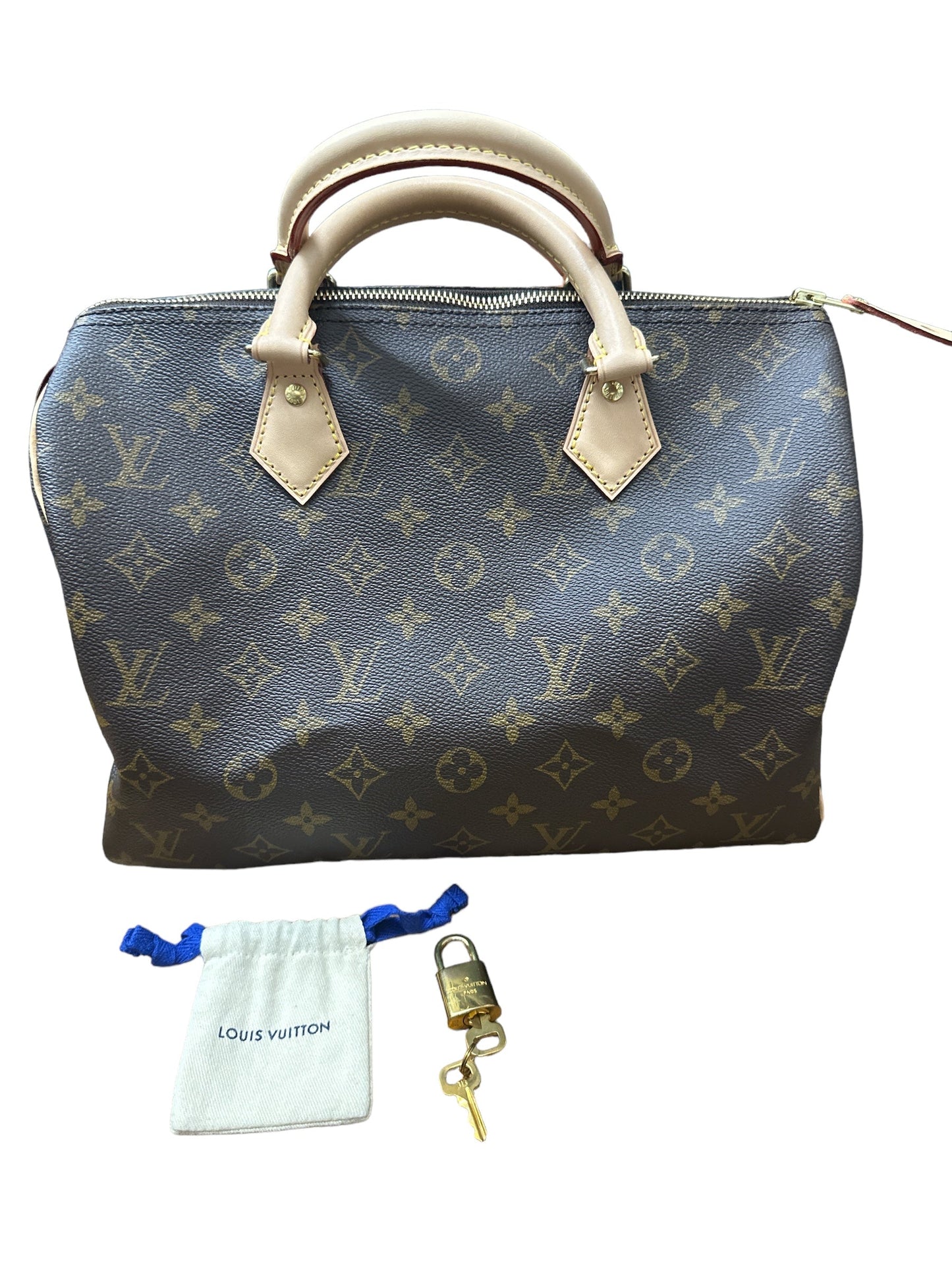 HandBag Luxury Designer By Louis Vuitton, Size: Medium