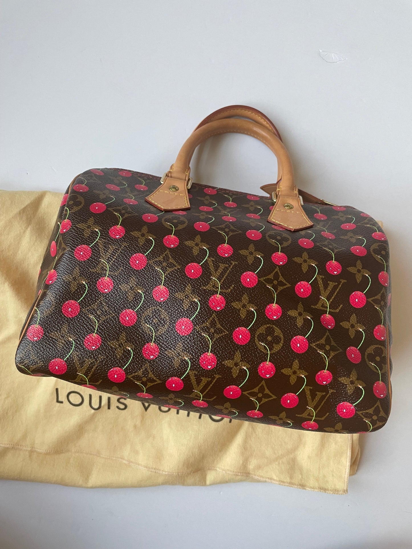 HandBag Luxury Designer Louis Vuitton, Size Small