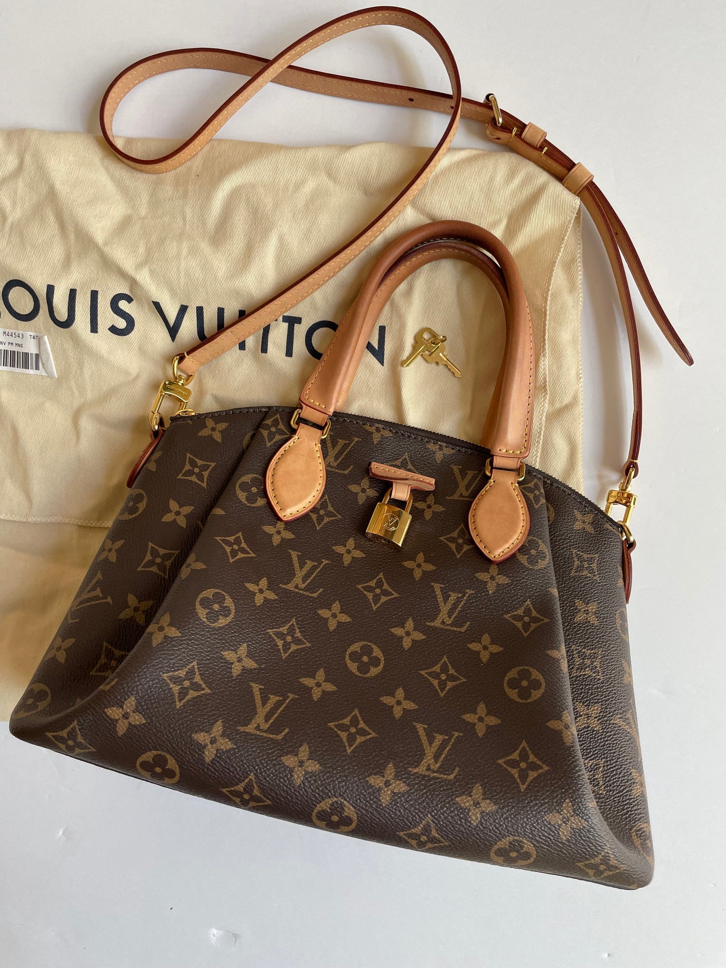 HandBag Luxury Designer Louis Vuitton