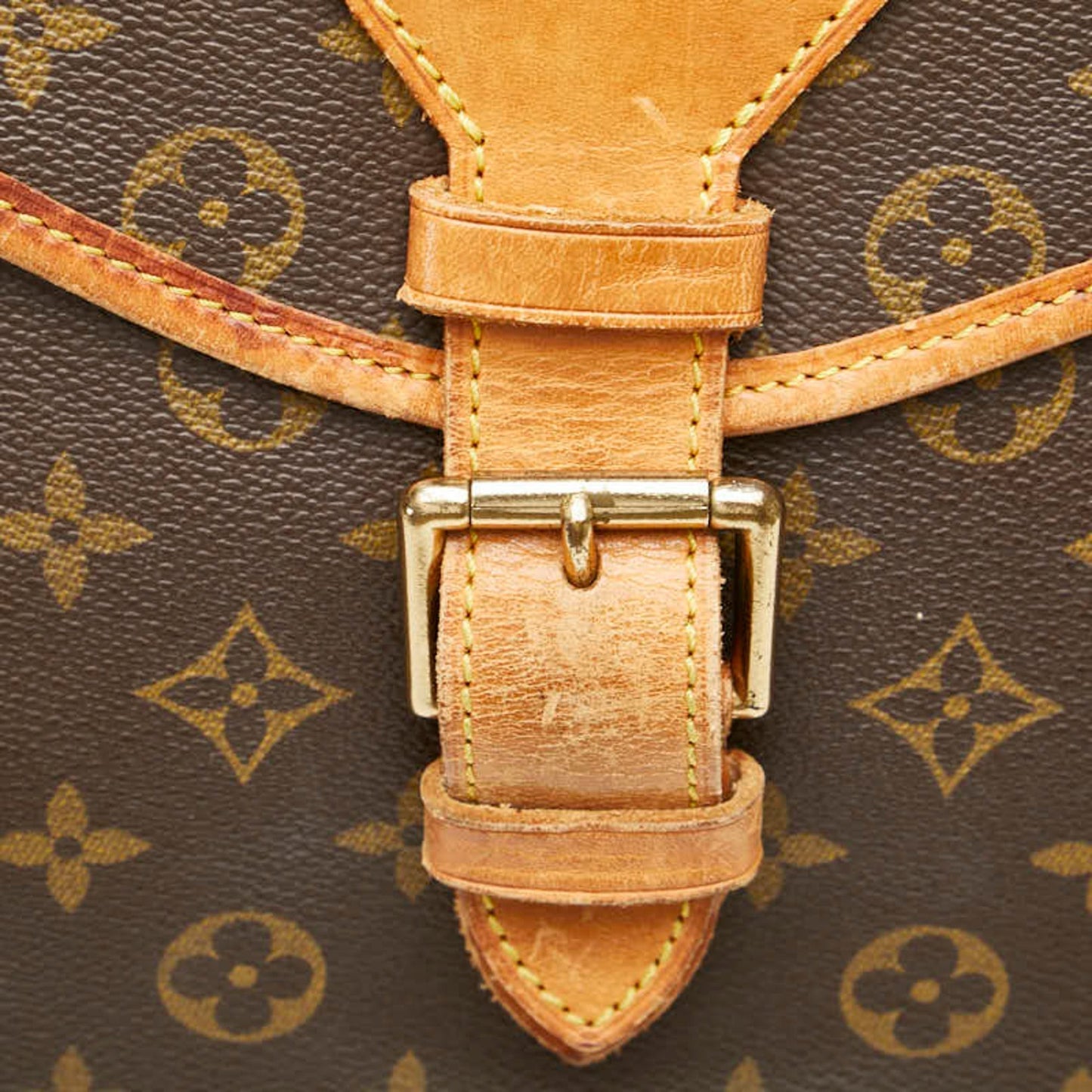 Louis Vuitton Pvc Leather Handbag Shoulder Bag