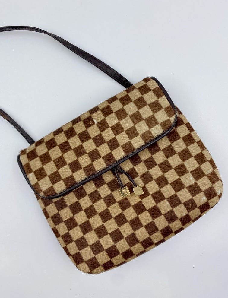 Louis Vuitton Damier Sauvage Gazelle Bag