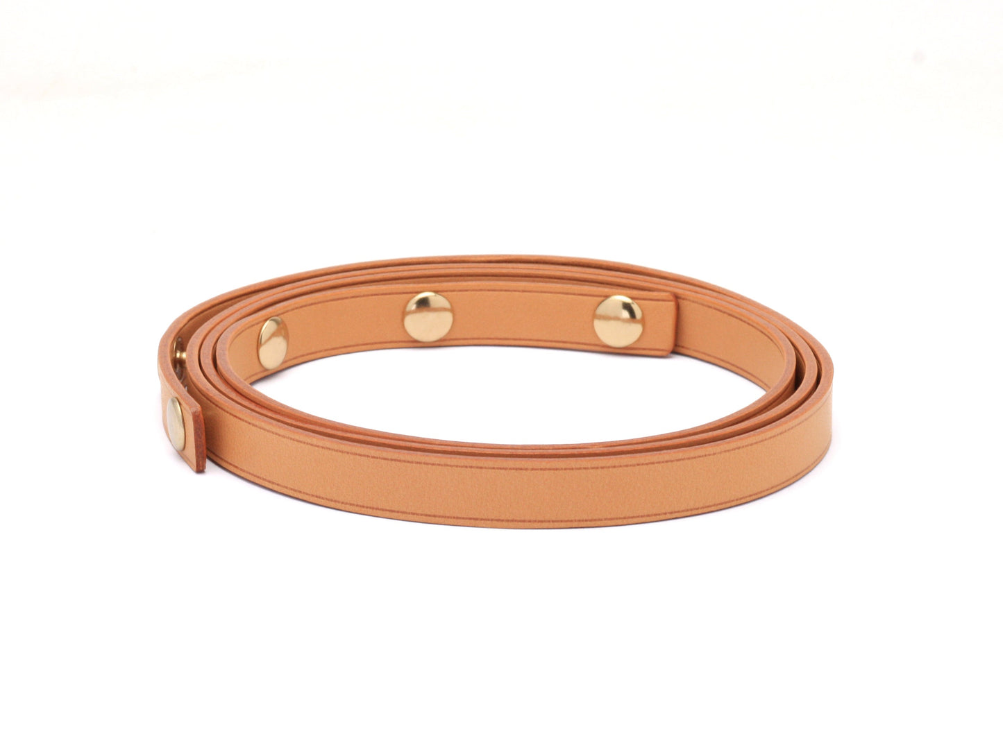 Louis Vuitton Florentine Strap