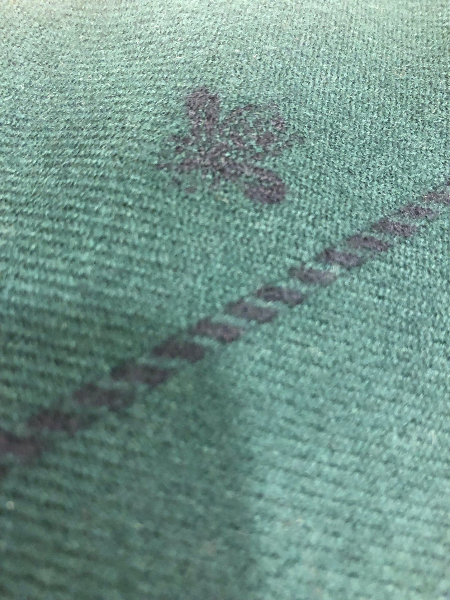 Gucci Green Wool Scarf with Blue Bees & Border