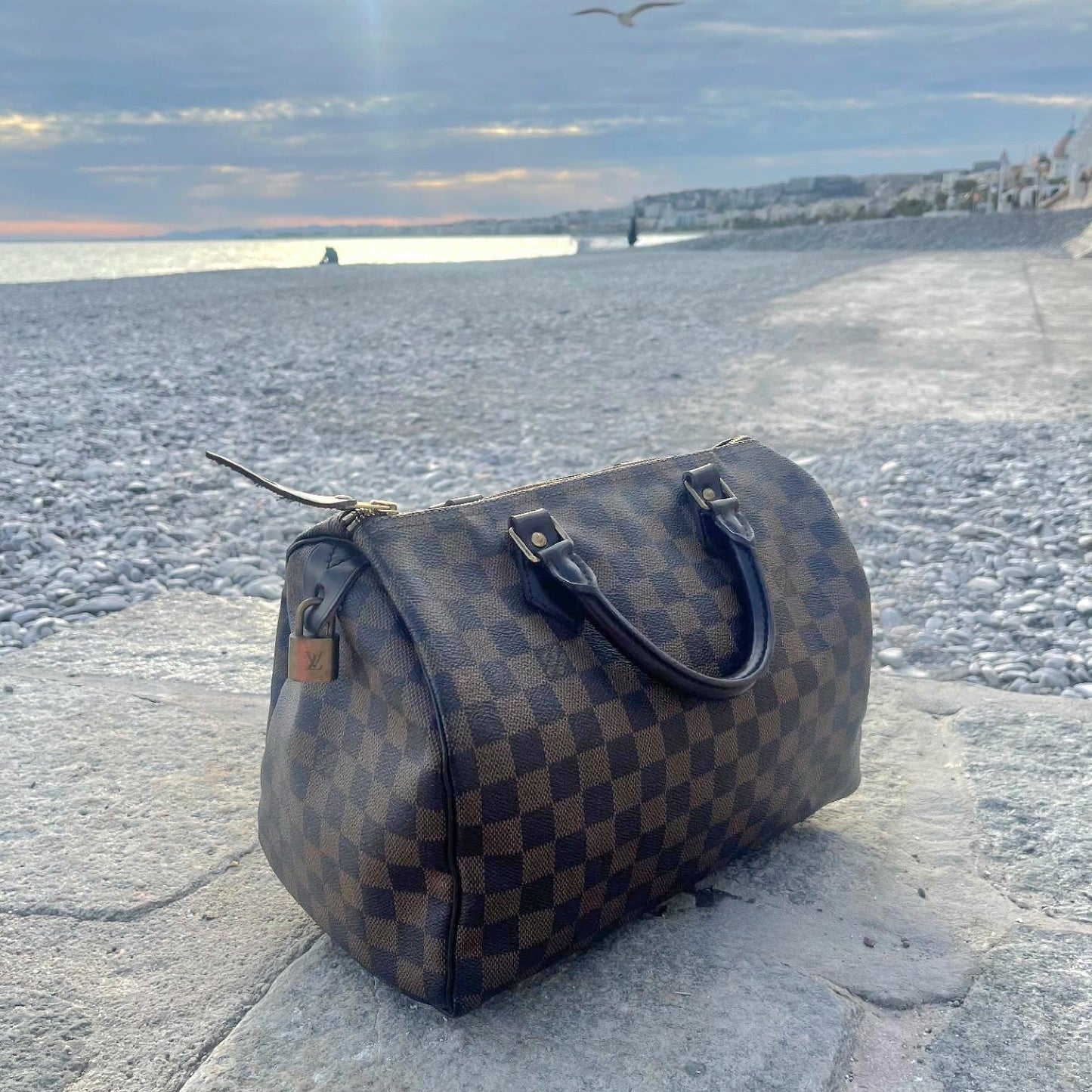 Louis Vuitton - Sac Speedy 30