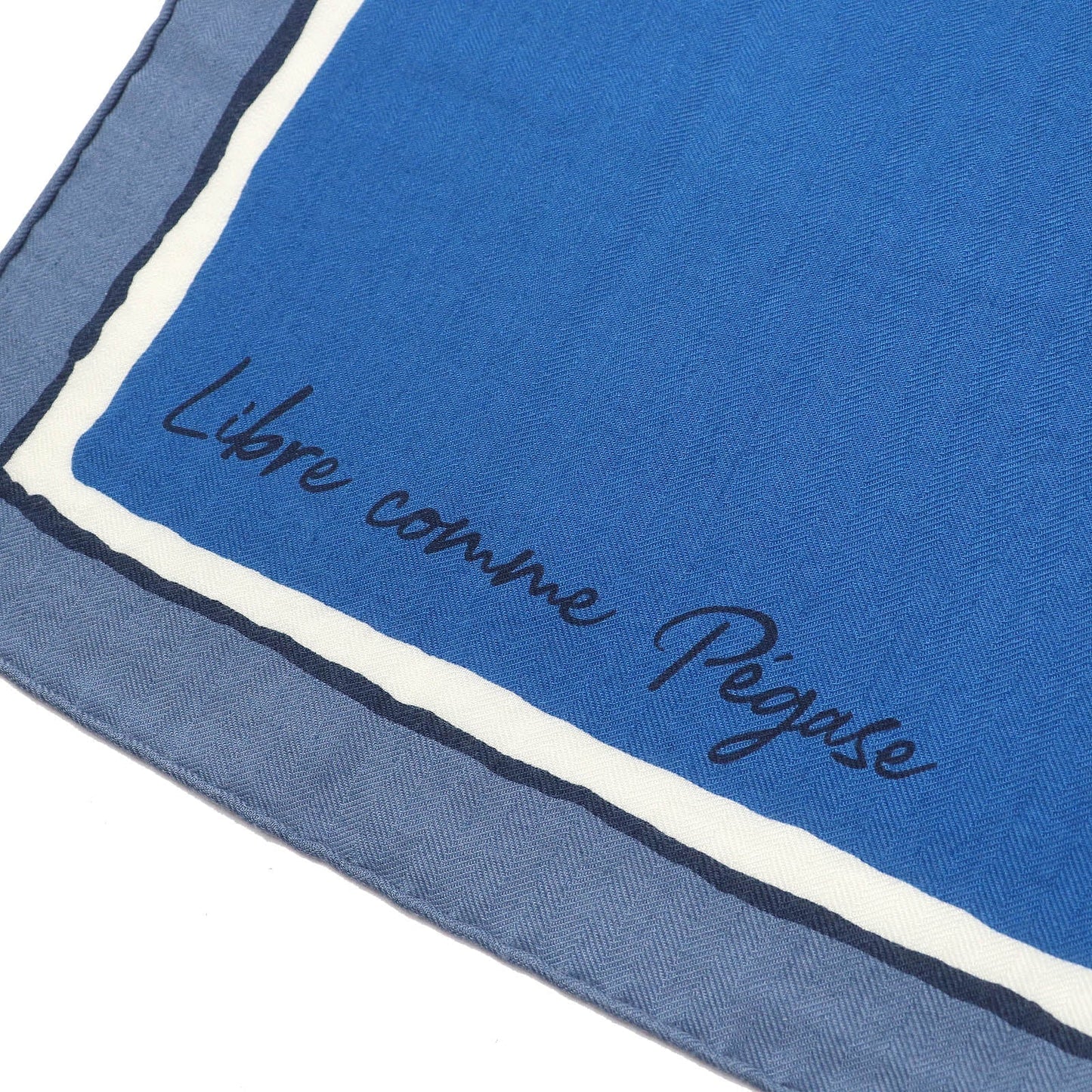 HERMES scarf cashmere blue Libre Comme Pegase
