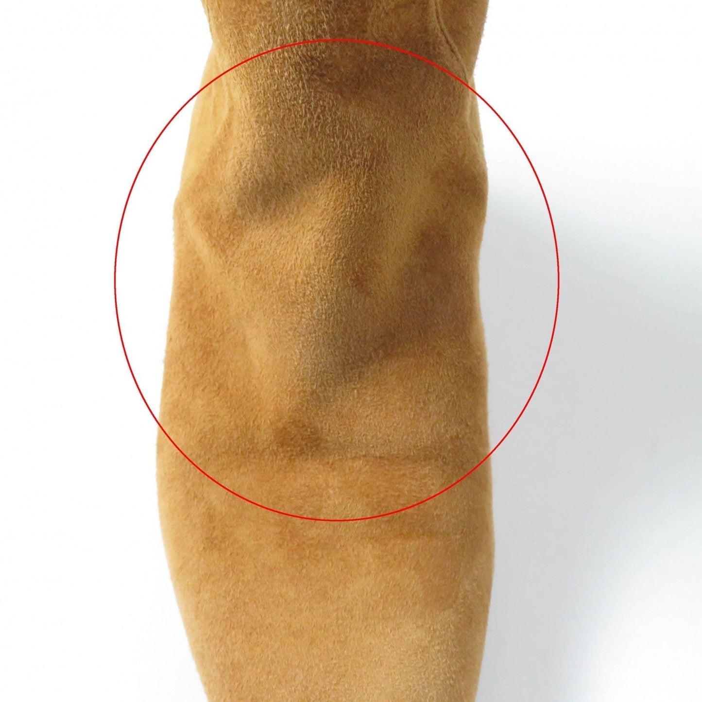 HERMES Knee-high boots Main: Suede leather light brown Versailles Women 36 Used