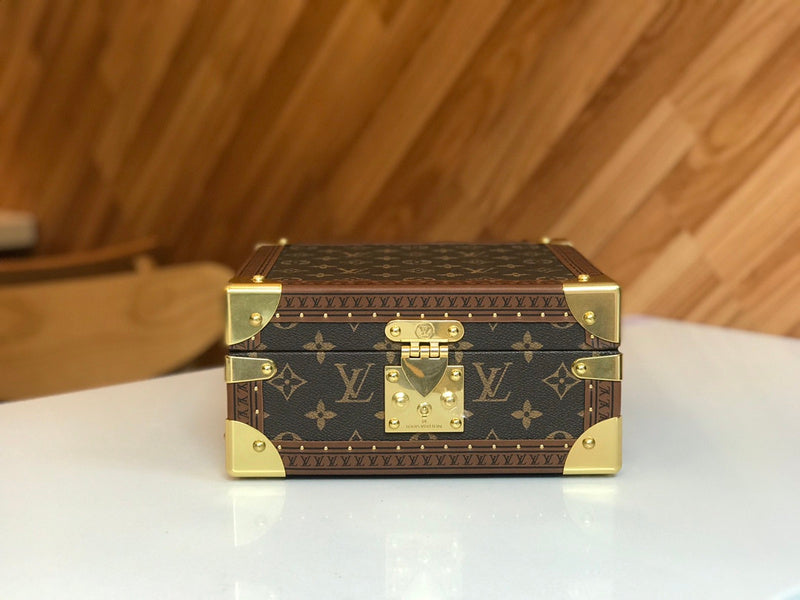 Alice Bags- Louis Vuittons  - 16209