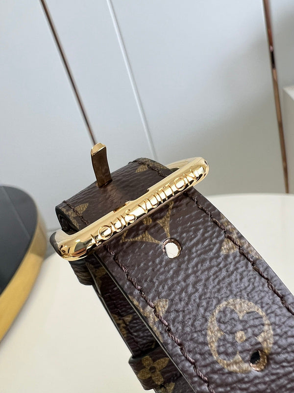 Alice Bags- Louis Vuittons  - 16106