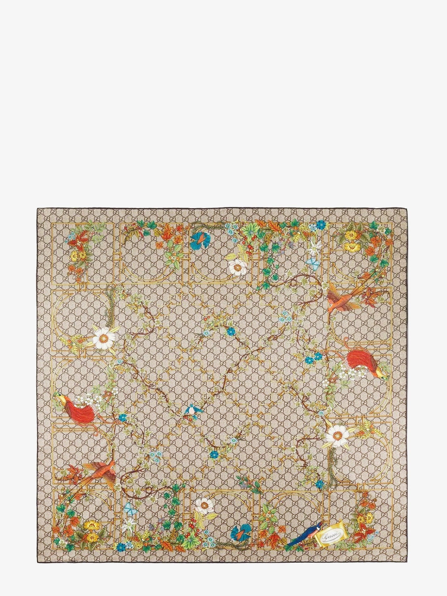 Gucci Woman Gucci Woman Brown Scarves