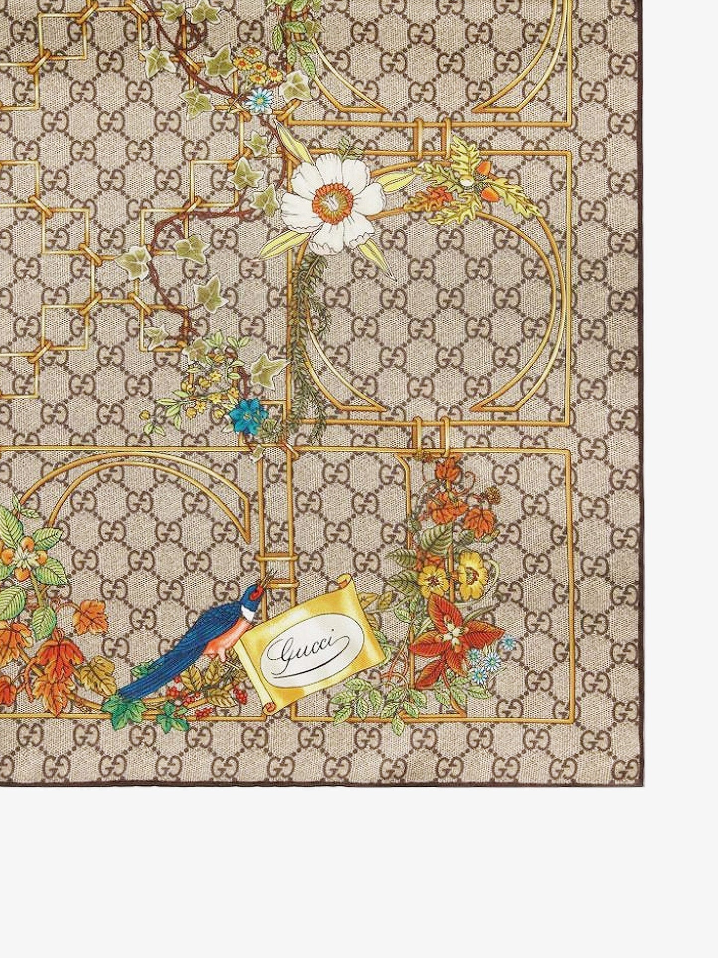 Gucci Woman Gucci Woman Brown Scarves