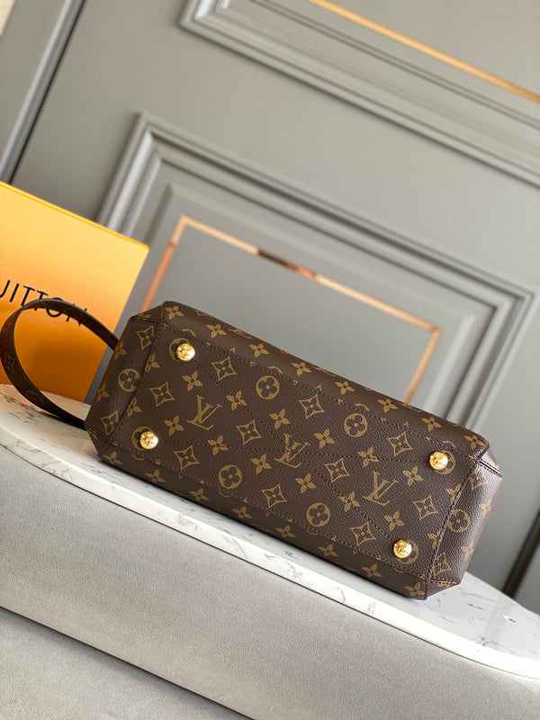 Alice bags - Louis Vuittons  - 15420