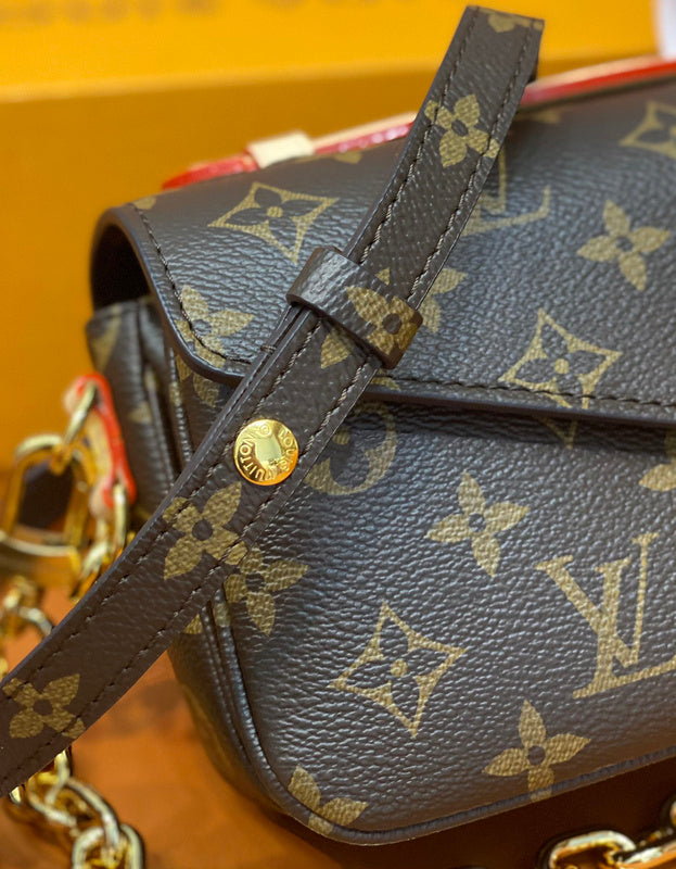 Alice  Bags- Louis Vuittons  - 16124