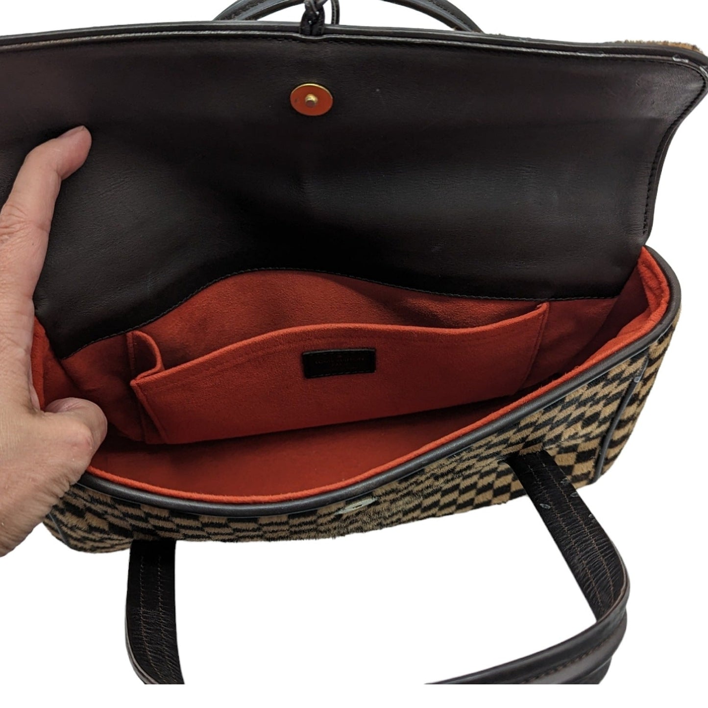 Louis Vuitton Damier Sauvage Lionne Handbag