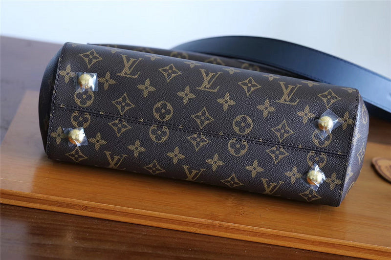 Alice bags - Louis Vuittons  - 7969