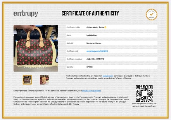 HandBag Luxury Designer Louis Vuitton, Size Small