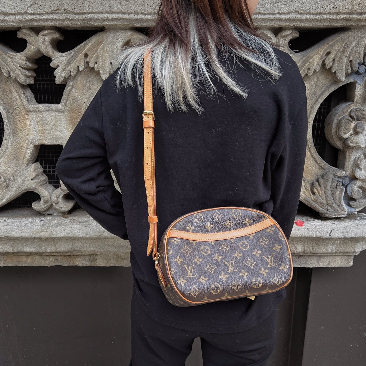 Louis Vuitton Blois Crossbody Bag TWS pop
