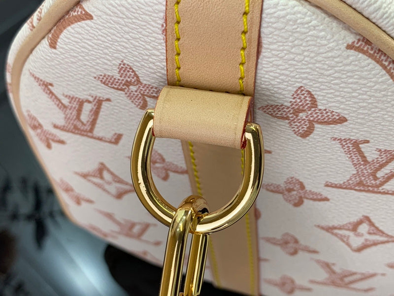 Alice Bags- Louis Vuittons  - 16377