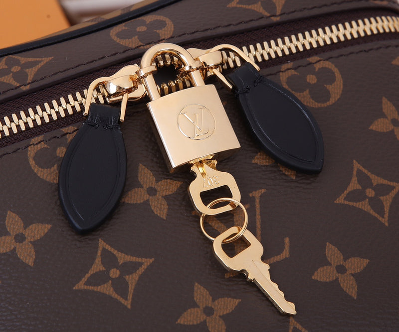 Alice bags- Louis Vuittons  - 16806