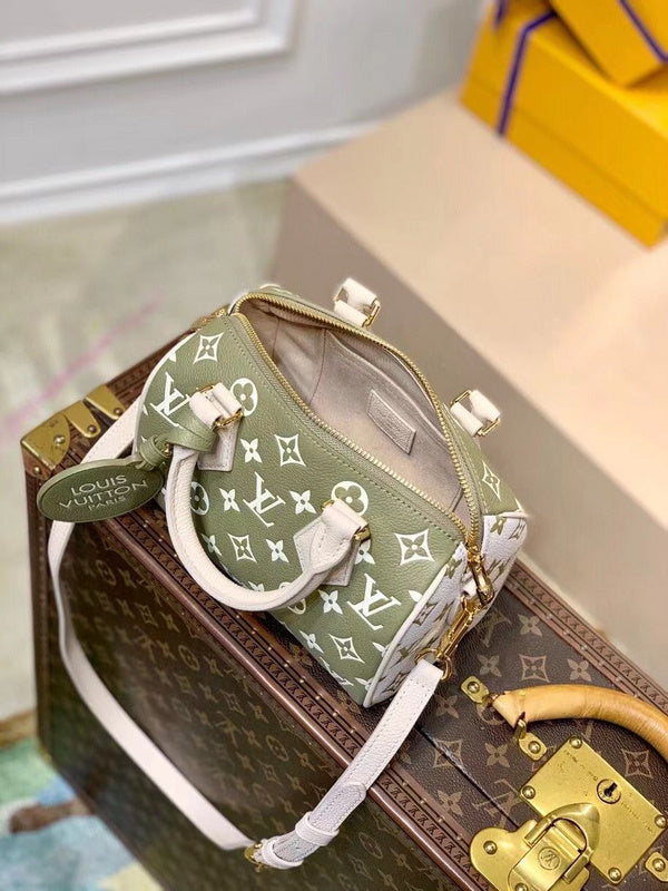 Alice Bags- Louis Vuittons  - 16563