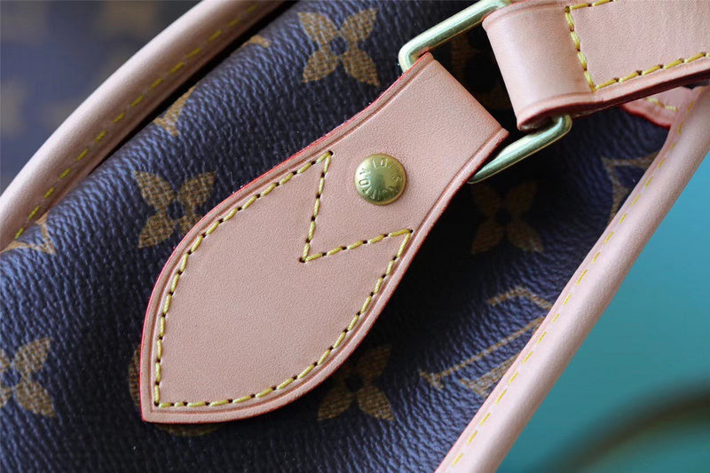 Alice bags - Louis Vuittons  - 10256