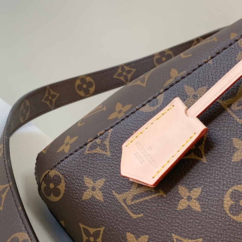 Alice Bags- Louis Vuittons  - 16299