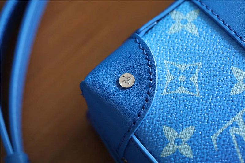 Alice bags - Louis Vuittons  - 10156