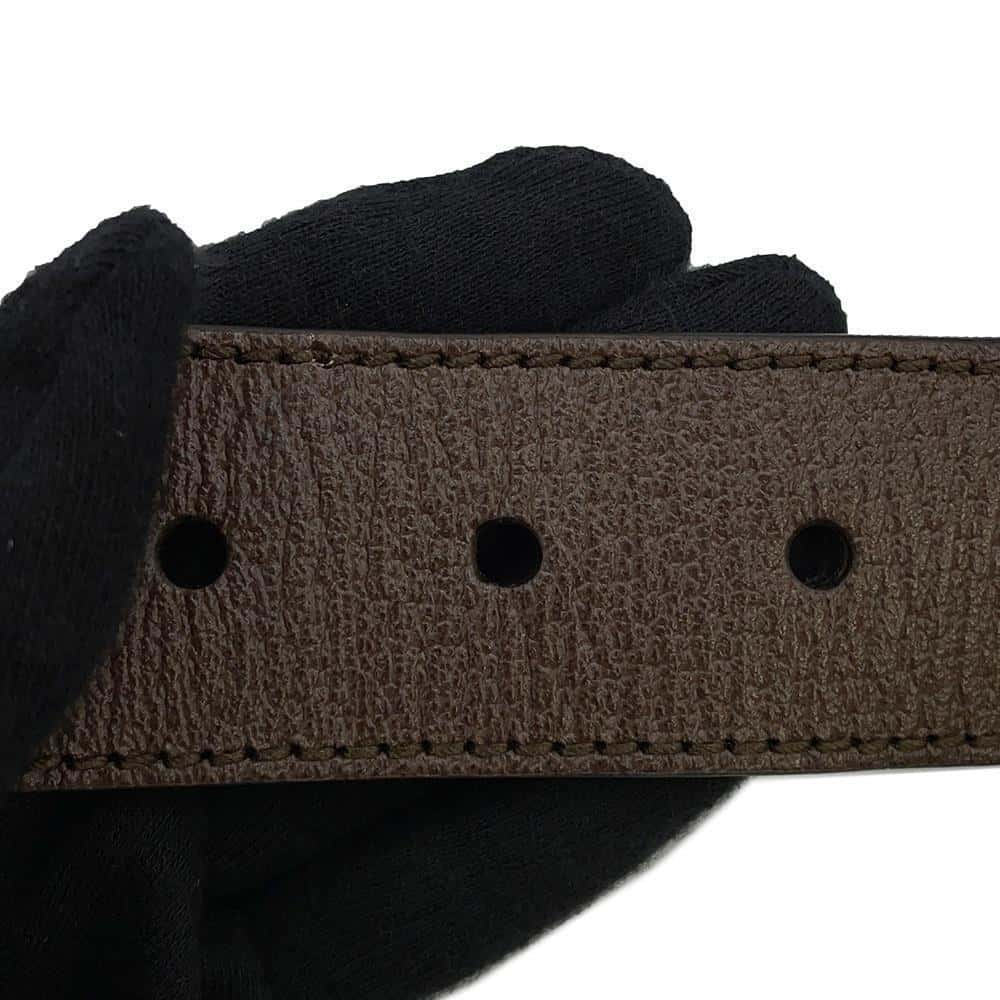 GUCCI Belt bag 100th anniversary limited edition Brown602695 Leather
