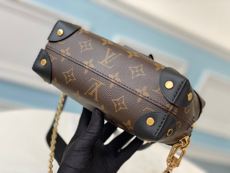 Alice Bags- Louis Vuittons  - 16366