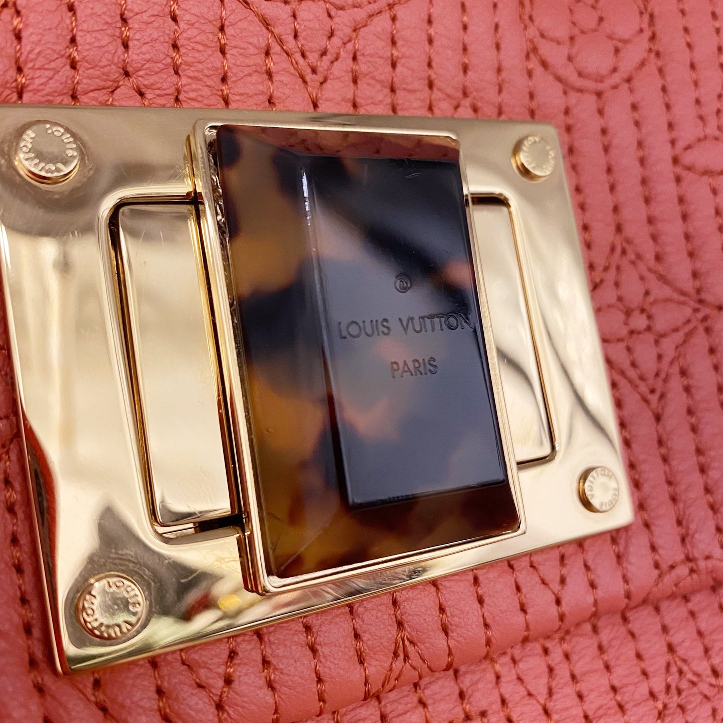 Louis Vuitton Clutch TWS pop
