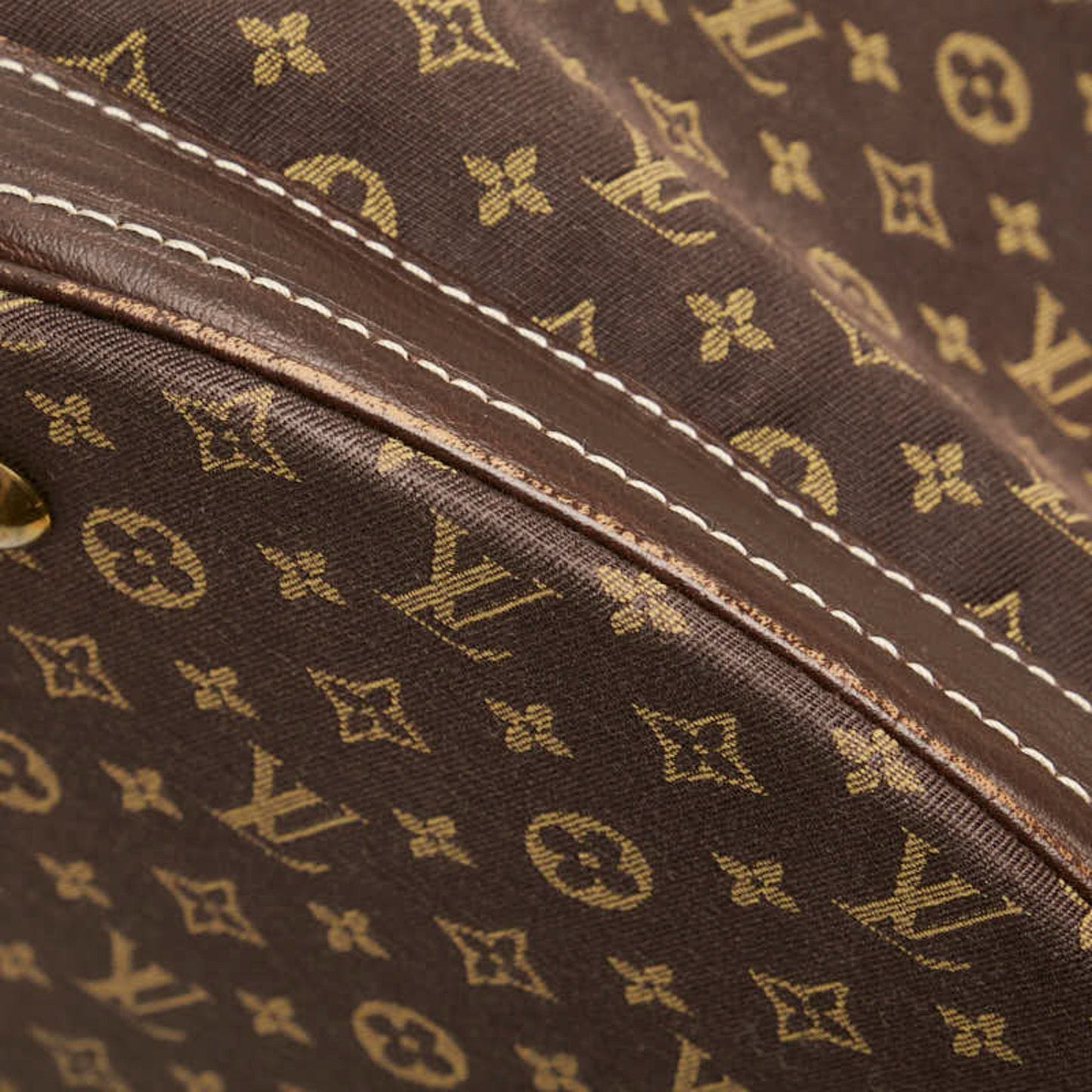 LOUIS VUITTON Bucket Tote