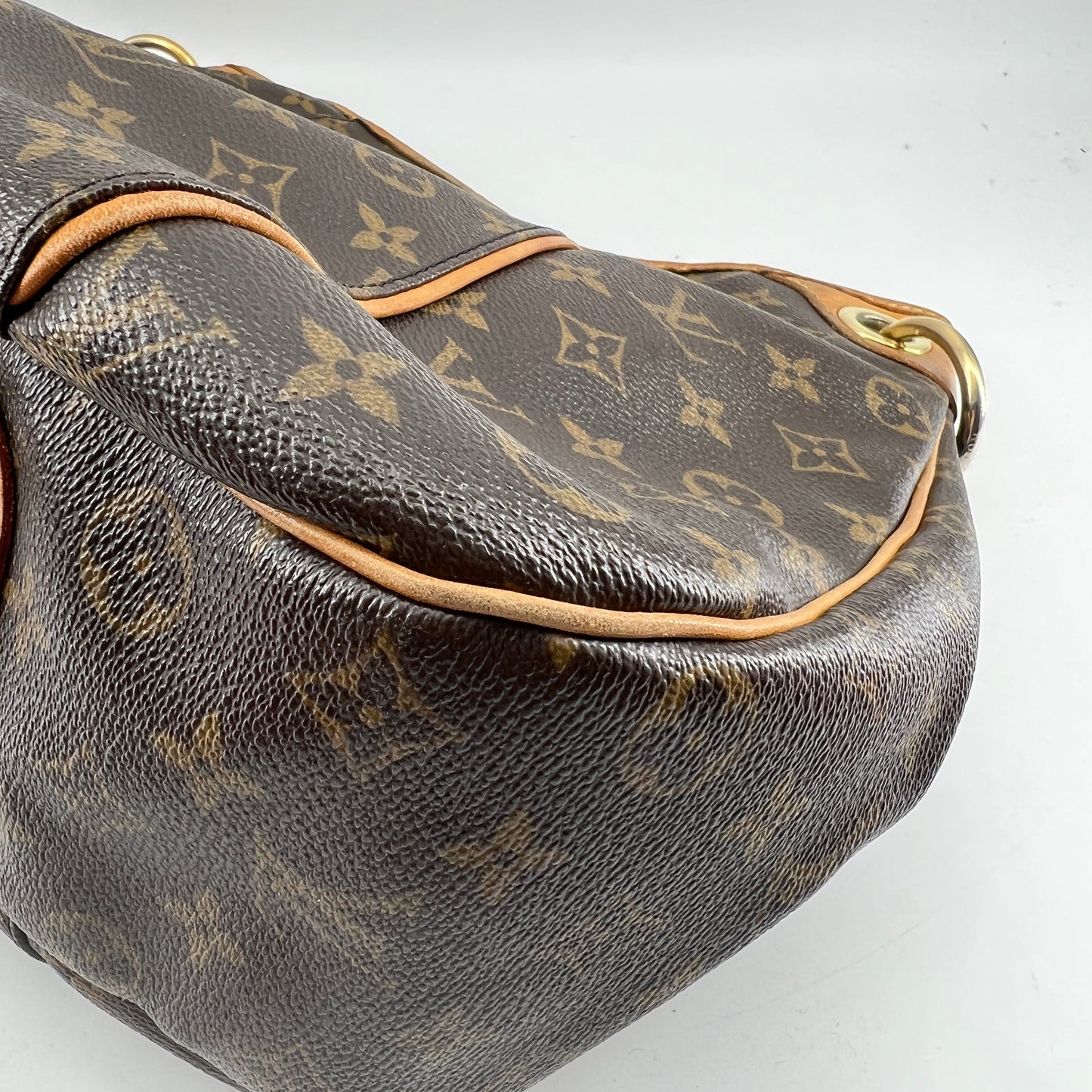 Louis Vuitton Galliera Bag TWS