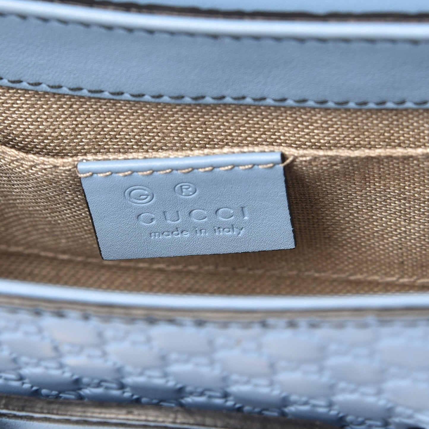 Gucci Emily Shoulder Bag in Mineral Blue