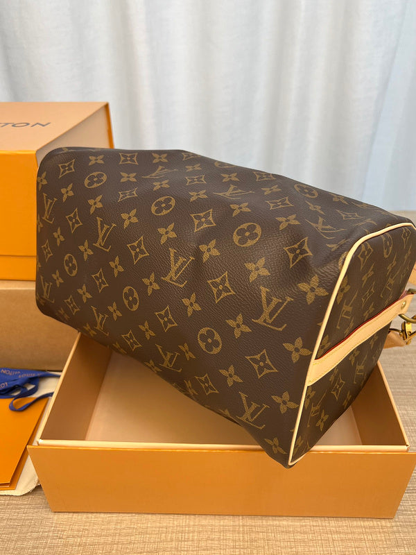 Alice bags- Louis Vuittons  - 16779
