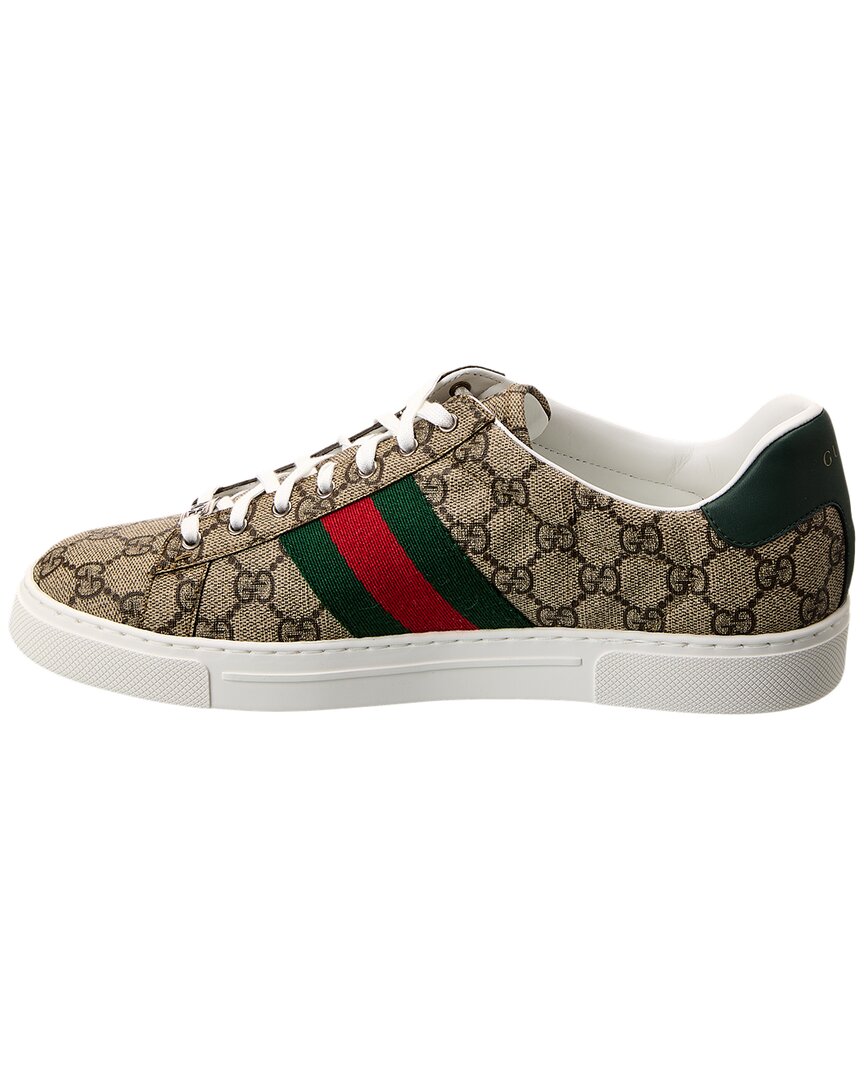 Gucci Ace Web Gg Supreme Canvas & Leather Sneaker