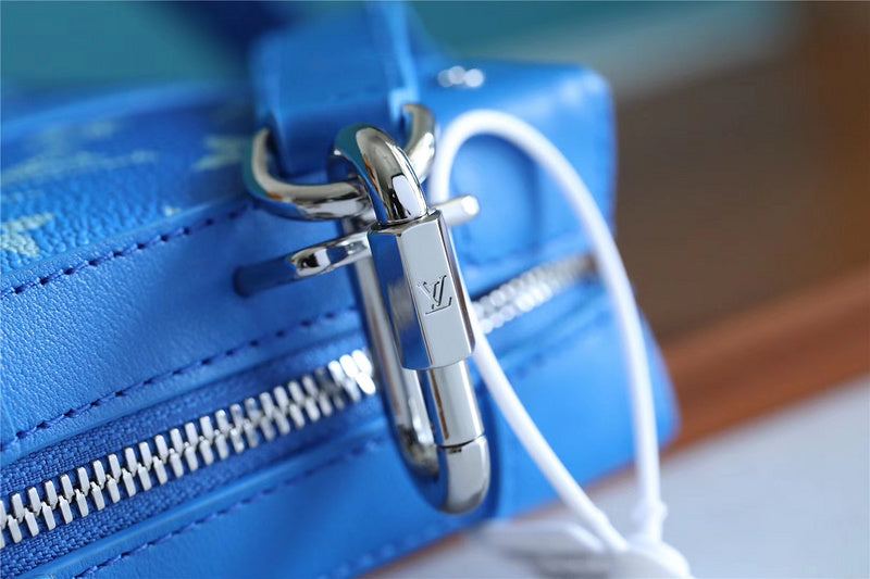 Alice bags - Louis Vuittons  - 10156
