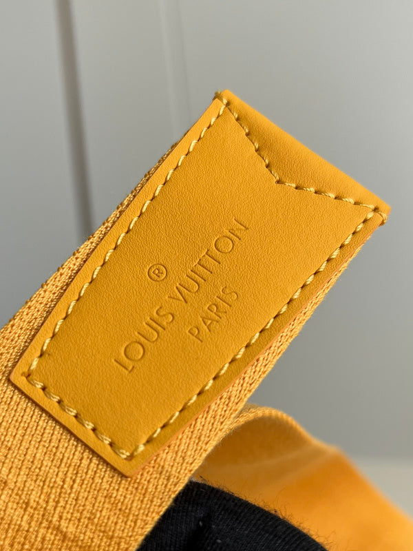 Alice Bags- Louis Vuittons  - 16129