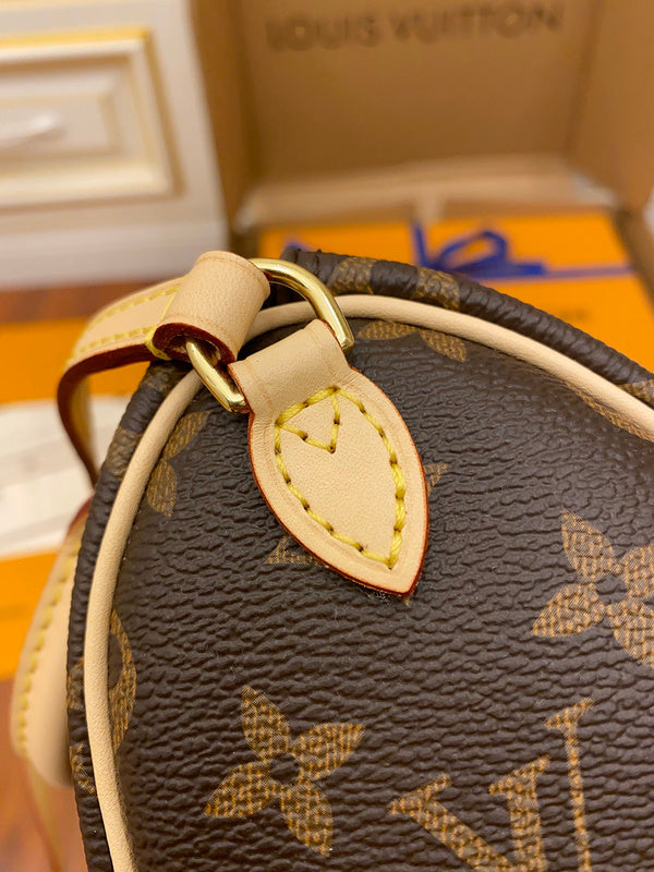 Alice Bags- Louis Vuittons  - 16199