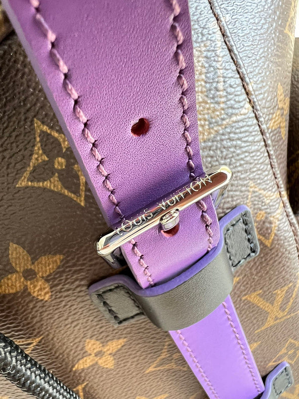 Alice Bags- Louis Vuittons  - 16258