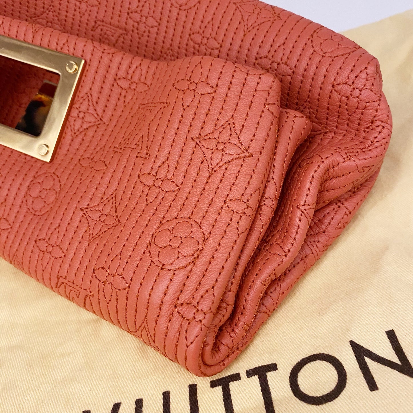 Louis Vuitton Clutch TWS pop