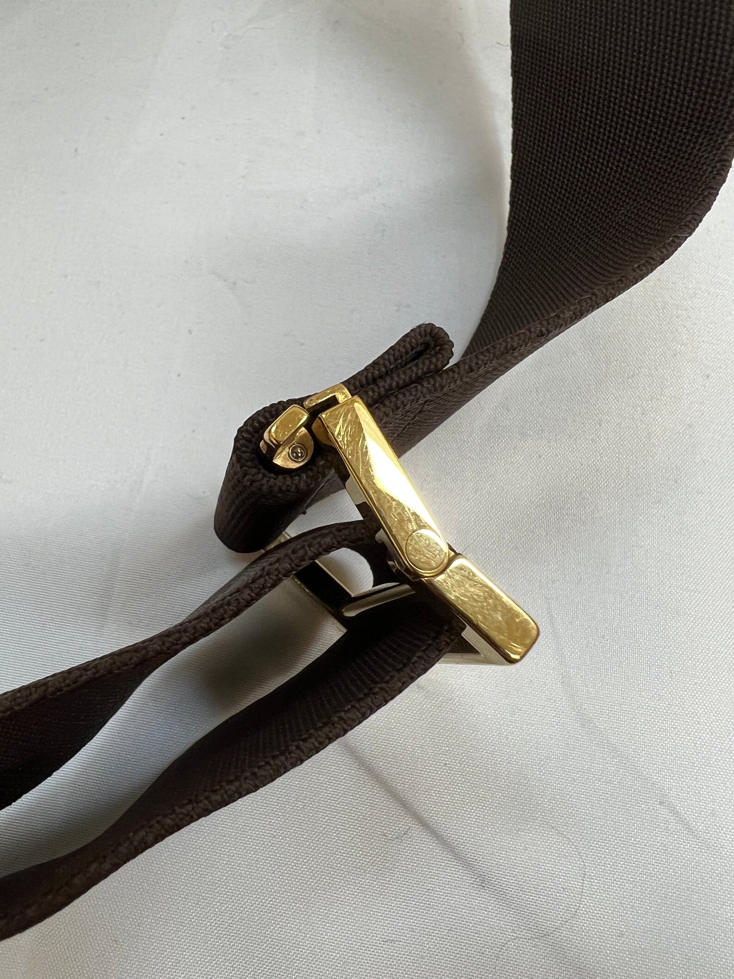 Belt Bag Luxury Designer By Louis Vuitton  Size: Medium