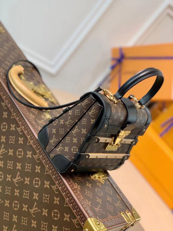 Alice Bags- Louis Vuittons  - 16597
