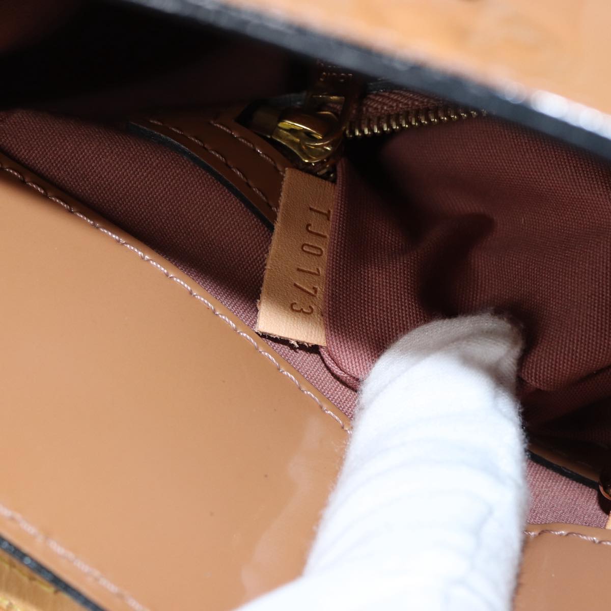 LOUIS VUITTON Catalina Handbag