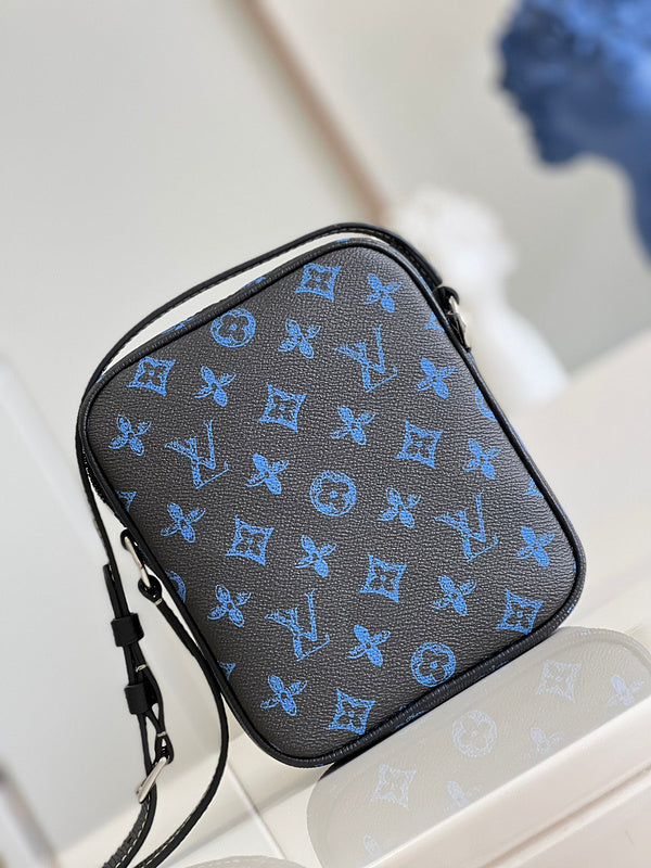 Alice Bags- Louis Vuittons  - 16313