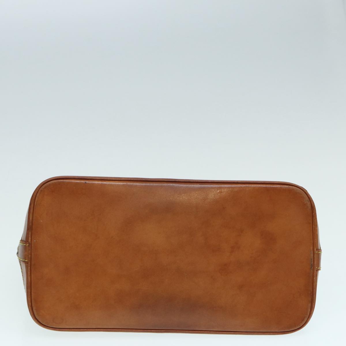 LOUIS VUITTON Alma Handbag
