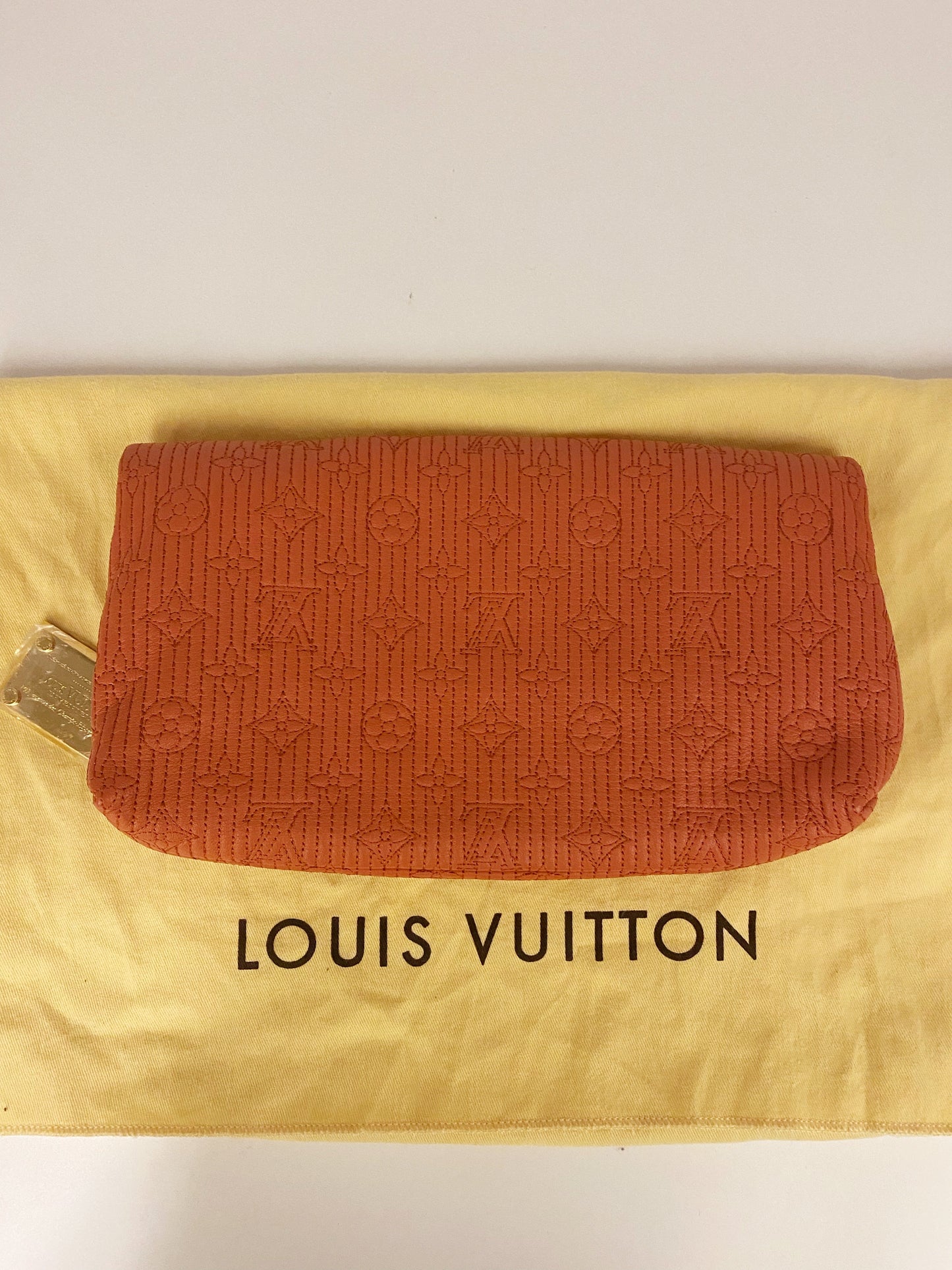 Louis Vuitton Clutch TWS pop