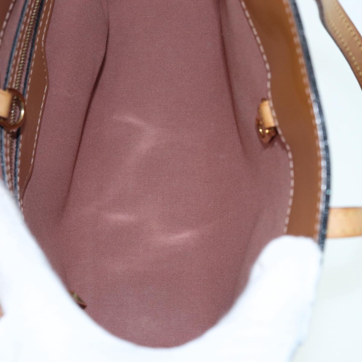 LOUIS VUITTON Catalina Handbag