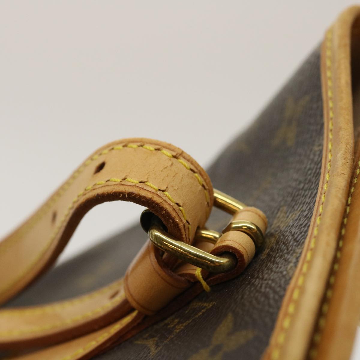 Louis Vuitton Bucket PM Shoulder Bag