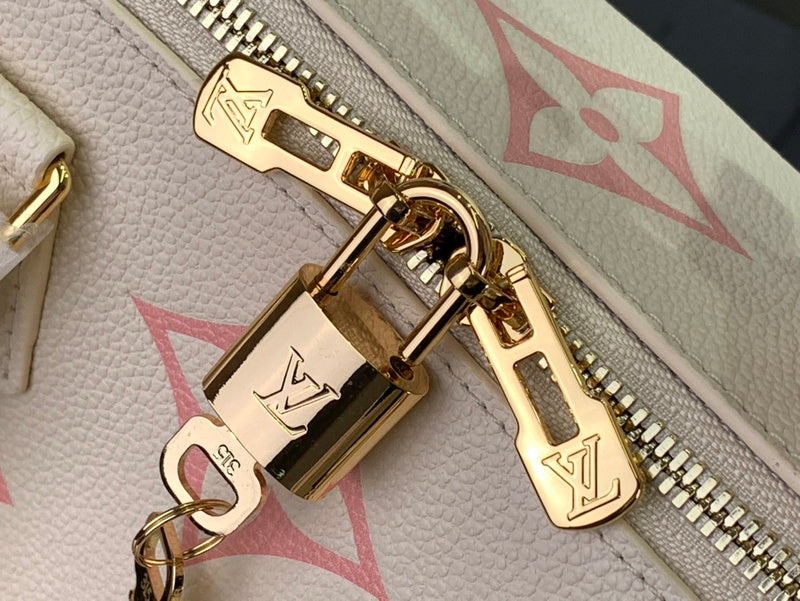Alice bags - Louis Vuittons  - 15823