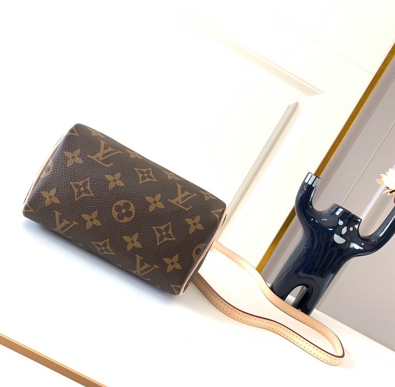 Alice Bags- Louis Vuittons  - 16247