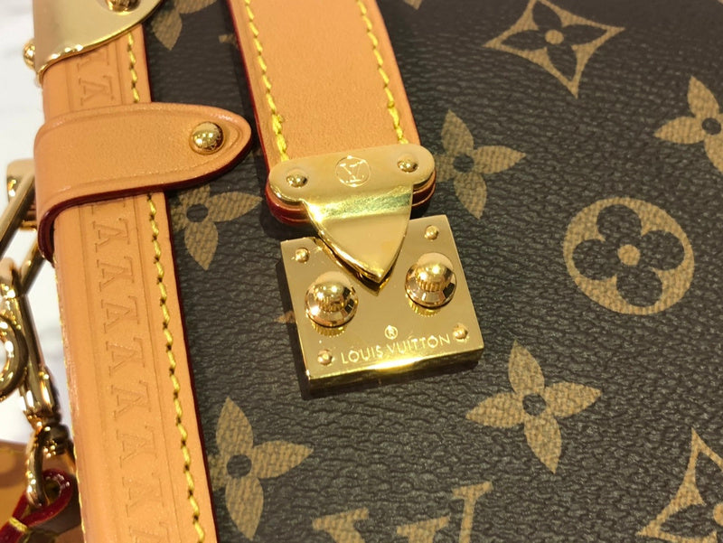 Alice Bags- Louis Vuittons  - 16070